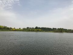 -东郊湿地公园