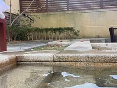 -大连金石滩绿发温泉假日酒店