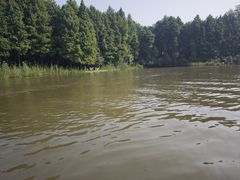 -溱湖国家湿地公园