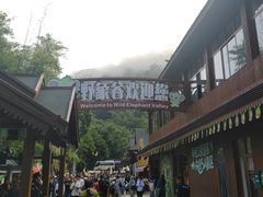 -野象谷景区