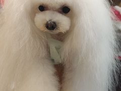 -宠颐生动物医院·小陆分院
