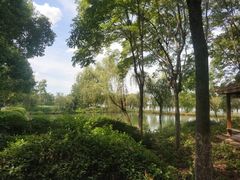 -金银湖国家城市湿地公园
