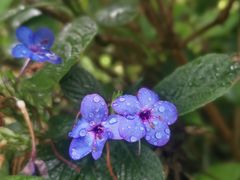 -陈李济中药博物馆