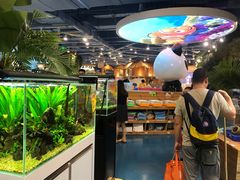 -龟与熊猫宠物公园(南坪店)