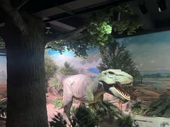 -国家自然博物馆