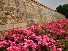 -元大都城垣遗址公园