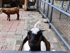 -长白岛森林公园