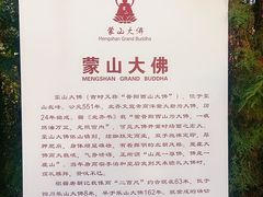 -蒙山大佛景区