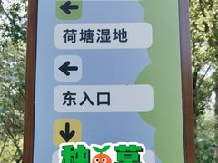 -东升八家郊野公园