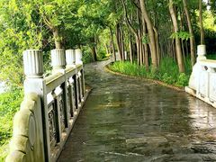 -东湖落雁景区