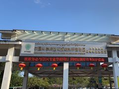 -中国科学院西双版纳热带植物园