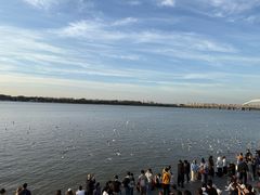 -人民防洪胜利纪念塔