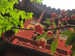 -东山雕花楼