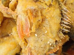-魚當家