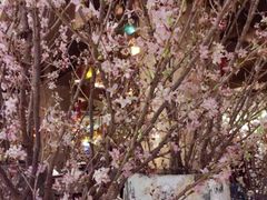 -东京希尔顿酒店