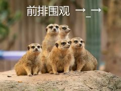 -广州长隆野生动物世界