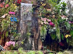-正佳雨林生态植物园