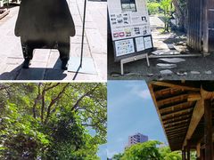 -水前寺成趣园