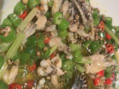 -秀儿四九城·新京菜(亚运村鸟巢店)