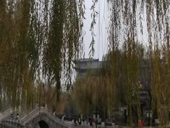 -文瀛公园