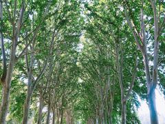 -河南省黄河迎宾馆