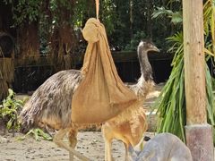 -广州长隆野生动物世界