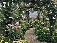 -三圣花乡旅游区