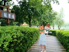 -艾溪湖湿地公园