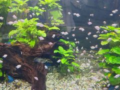 -石林冰雪海洋世界