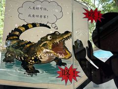 -昆明动物园
