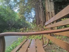 -上海滨江森林公园