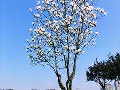 -重庆中央公园(渝北区)