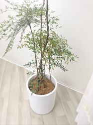 -HEYAN荷妍专业脱毛连锁机构