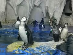 -太平洋海底世界