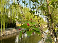 -元大都城垣遗址公园