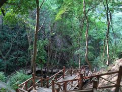 -大岭沟猕猴桃谷风景区