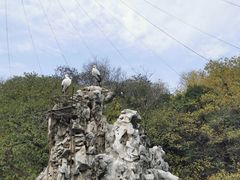 -合肥野生动物园