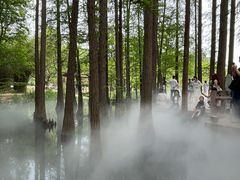 -东湖落雁景区