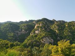 -大岭沟猕猴桃谷风景区
