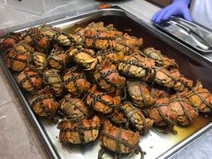 -新发展亚太JW万豪酒店·福苑咖啡厅