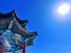 -北京西山国家森林公园