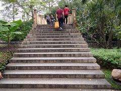 -晓港公园