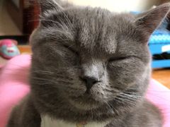 -纳吉亚猫专科动物医院博雅分院