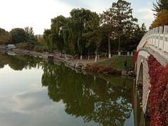 -大兴滨河森林公园