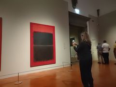 -斯特罗齐宫