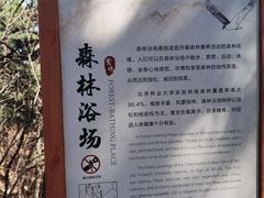 -北京鹫峰国家森林公园