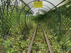 -宁波浙东大竹海景区