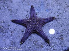 -多彩贵州城极地海洋世界