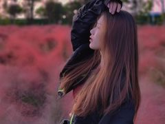 -映月湖中央公园