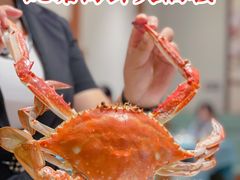 -北塘海鲜·天津菜(大光明桥旗舰店)